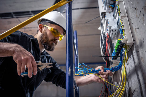 Best Affordable Electrician  in Brandon, FL
