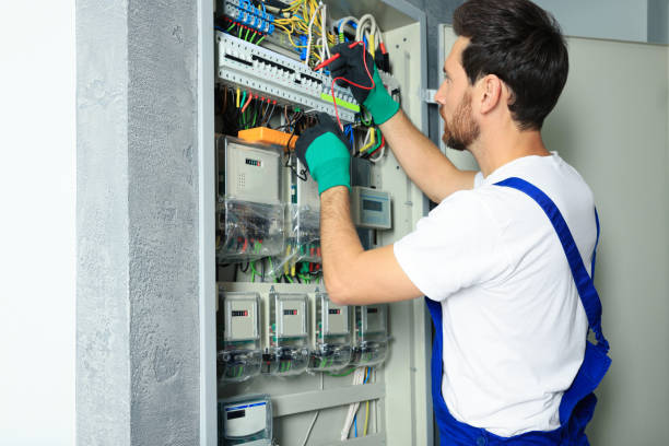 Best Ceiling Fan Installation Electrician  in Brandon, FL