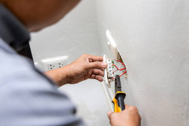 Best Affordable Electrician  in Brandon, FL
